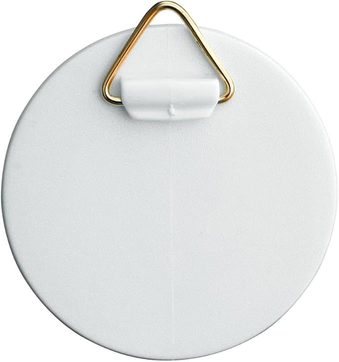 Home Xpert SelfAdhesive Hanger with Brass Eyelet, Plastic, White