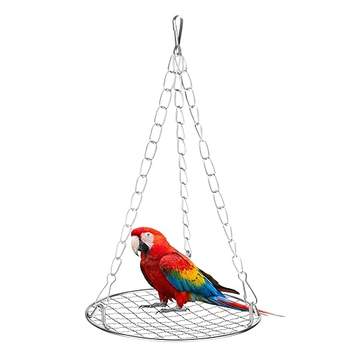 Bird Swing for Cage Stainless Steel Bird Swing Hanging Parakeet