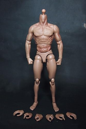 Amazon 1 6スケール 男性 モデル 筋肉 素体 ボディ フィギュア フィギュア 素体セット プラモデル 通販