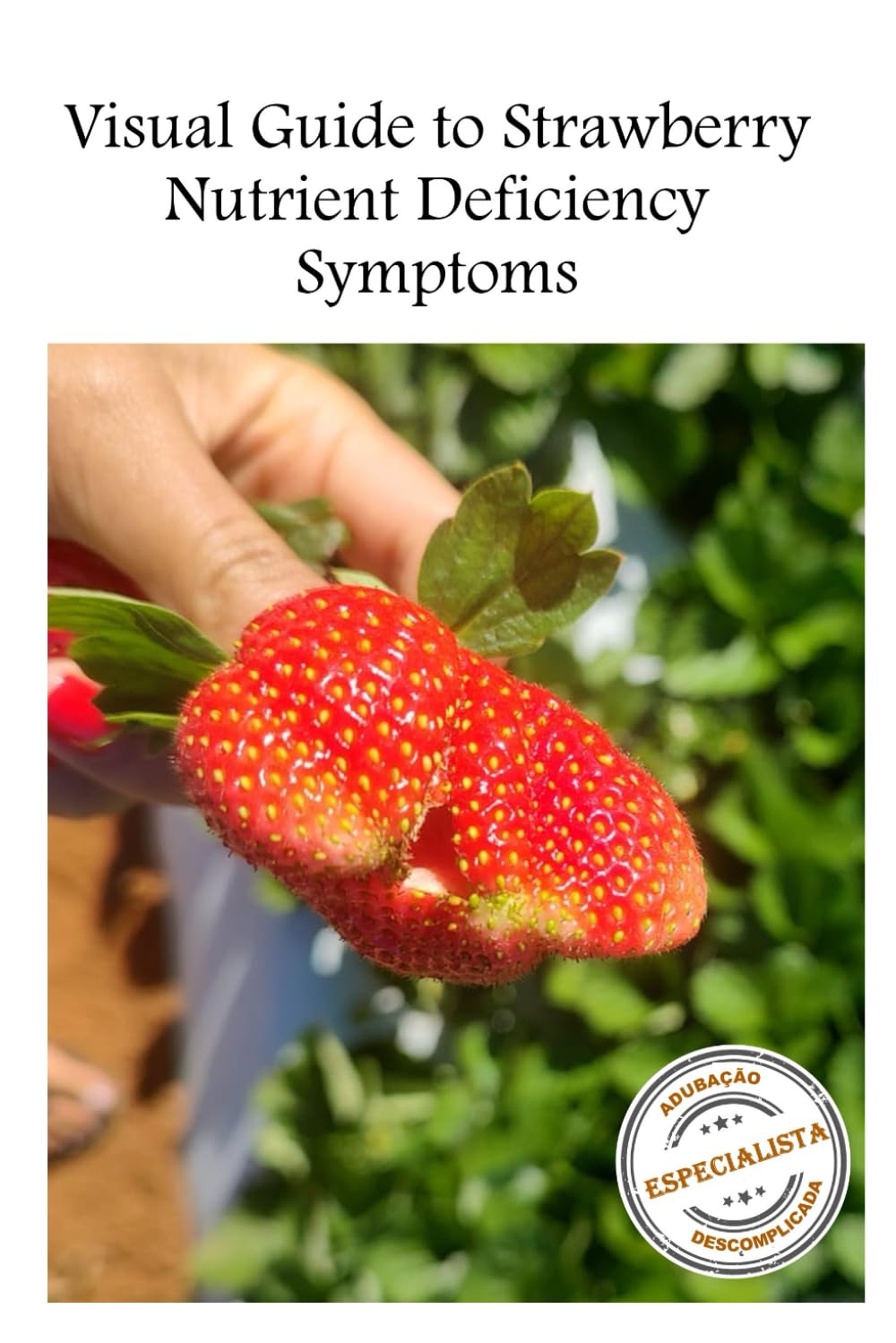 Visual Guide to Strawberry Nutrient Deficiency Symptoms ([Strawberry] 3 units | How to Fertilizer Strawberries Crops in Soiless, Soil and How to Identify Nutrient Deficiency Symptoms)