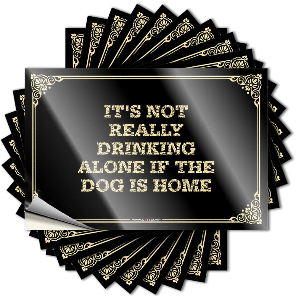 Fzfn Men's Colour Funny Sticker Teenage | Autumn Bottle It's Not Really Drinking Alone If The Dog Is Home For Football(12X18cm)