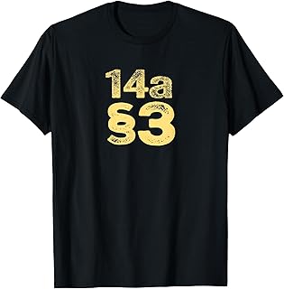 14th Amendment Section 3 of the Constitution 14a §3 Graphic T-Shirt