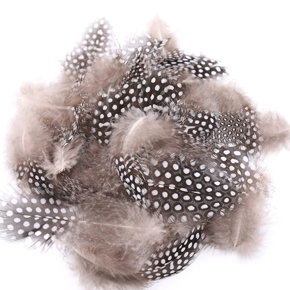 Lot De 50 Plumes Naturelles De Poulet Plumes De Poulet Naturelles Pour Travaux Manuels, Boucles D'oreilles, Attrape-rêves, Manucure, Chapeau, Masques