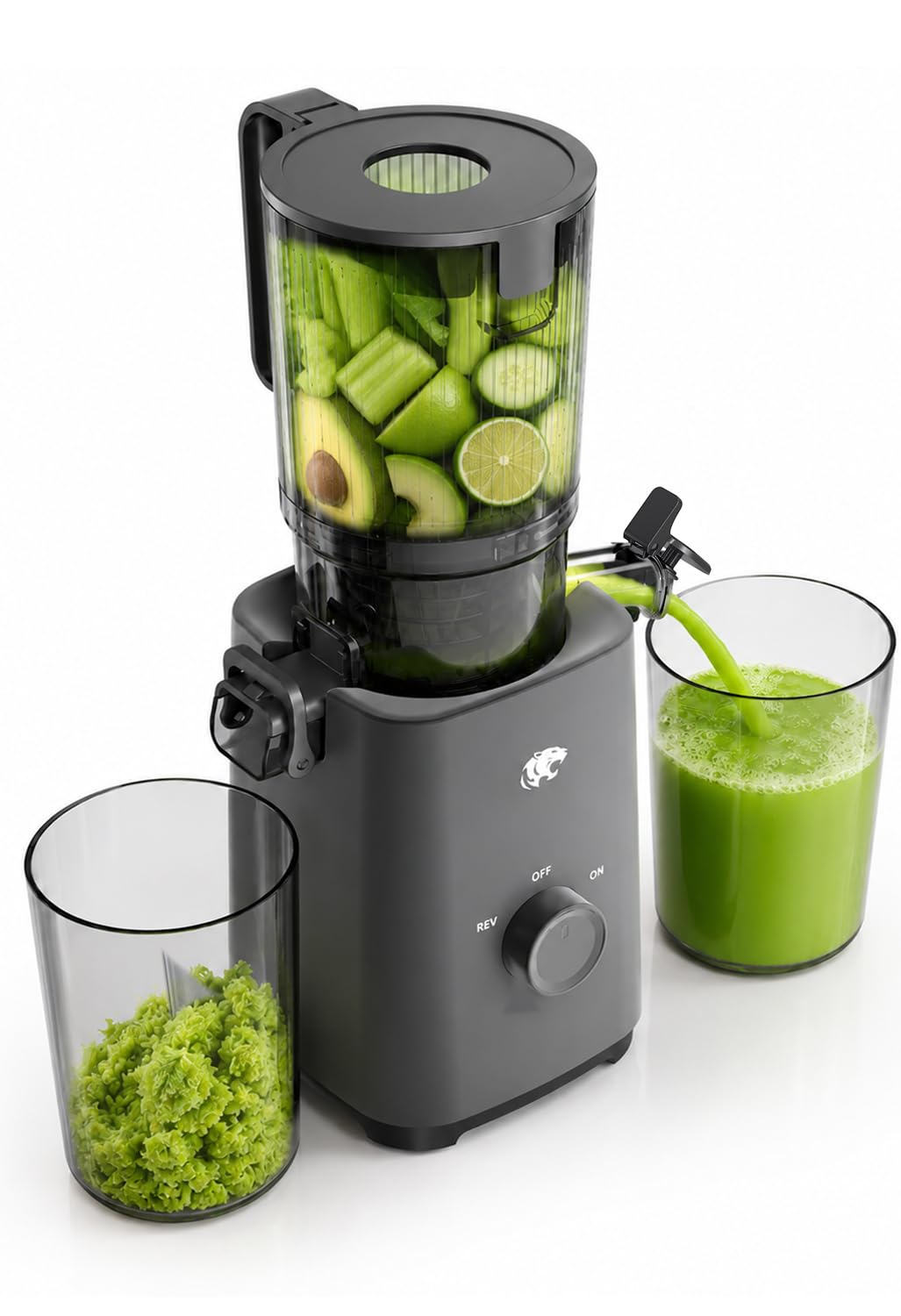 Cold Press Juicer Machine