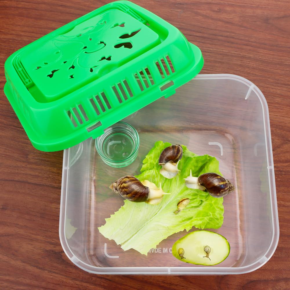 20 Kleine Kunststoff-Terrarien Mit Deckel – Perfekt Für Vogelspinnen, Bartagamen & Mehr | 13x8,9x8,9 Cm, Transparent