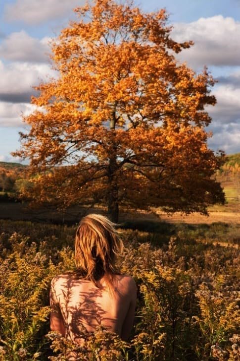 Amazon.co.jp: ライアンマッギンレー アート写真集 : Way Far Ryan