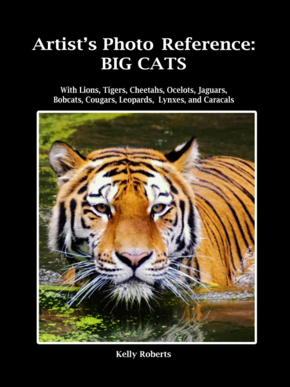 Artist's Photo Reference: Big Cats: With Lions, Tigers, Cheetahs, Ocelots, Jaguars, Bobcats, Cougars, Leopards, Lynxes, and Caracals (Paint & Draw Reference Photos)