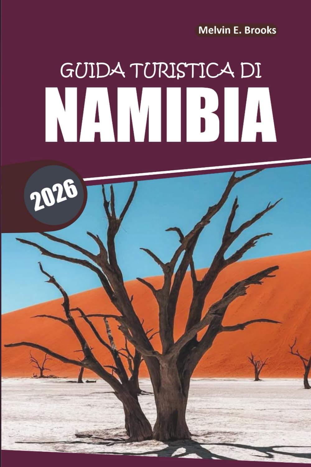 Guida ai viaggi della Namibia 2026: Consigli essenziali e itinerario per esplorare fauna selvatica, avventure e scoperte culturali nell'Africa meridionale