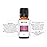 Purify Essential Oil Blend by Revive Essential Oils - REVIVEEO - 100% Pure Therapeutic Grade, for Diffuser, Humidifier, Massage, Aromatherapy, Skin & Hair Care