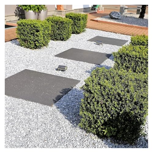 Membrane anti-mauvaises herbes efficace pour stopper les corvées de désherbage - 5