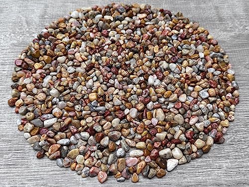 Image of GAF TREASURES 2 oz Lot Natural Crazy Lace Agate Semi Tumbled Gemstone Chips, Crushed Mini Crystals, Undrilled Crystal Chips (Crazy Lace Agate)