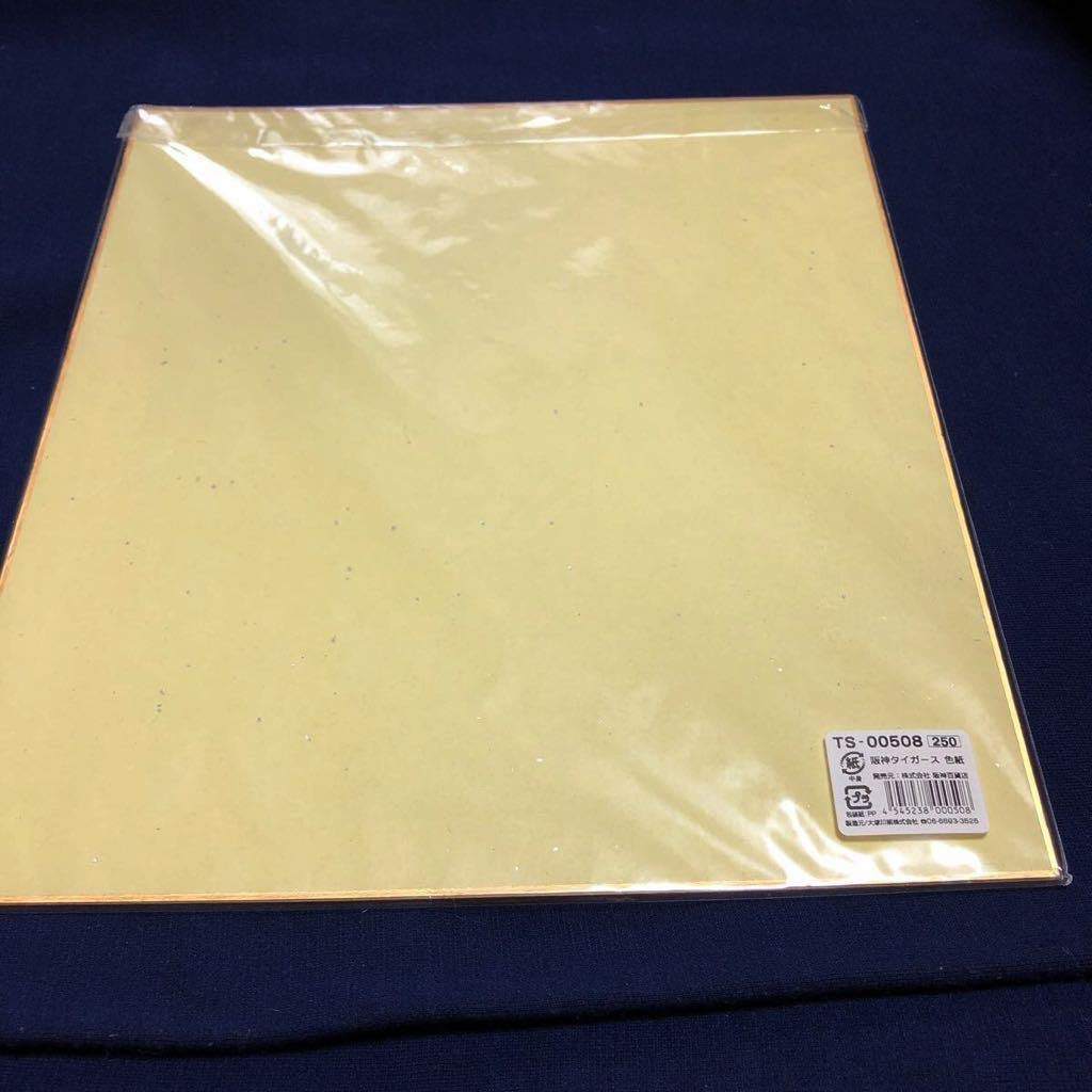 Amazon.co.jp: 激レア希少品阪神タイガース 広澤克実 コーチ時代