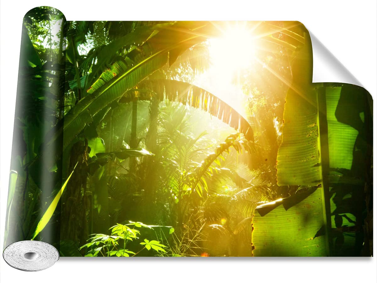 Décoration murale papier peint camouflage 416x254 cm Tulup au design jungle exclusif