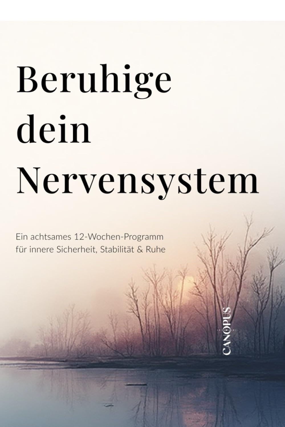 Beruhige dein Nervensystem: Ein achtsames 12-Wochen-Programm für innere Sicherheit, Stabilität & Ruhe (Serie 3 - Nervensystem & innere Sicherheit)