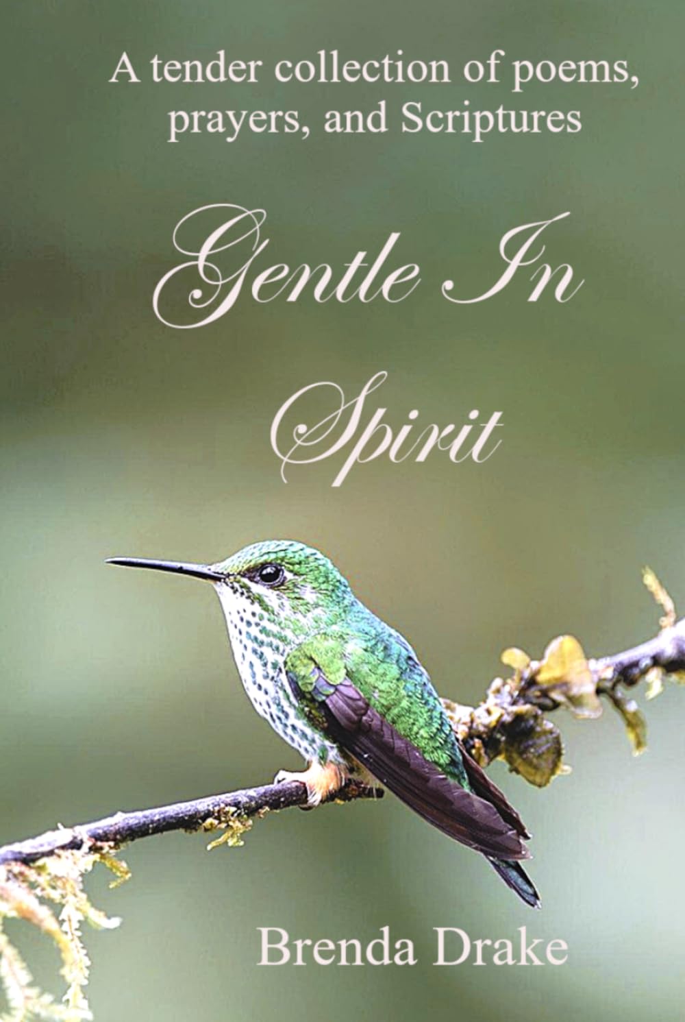 Gentle in Spirit: A tender collection of poems, prayers, and Scriptures