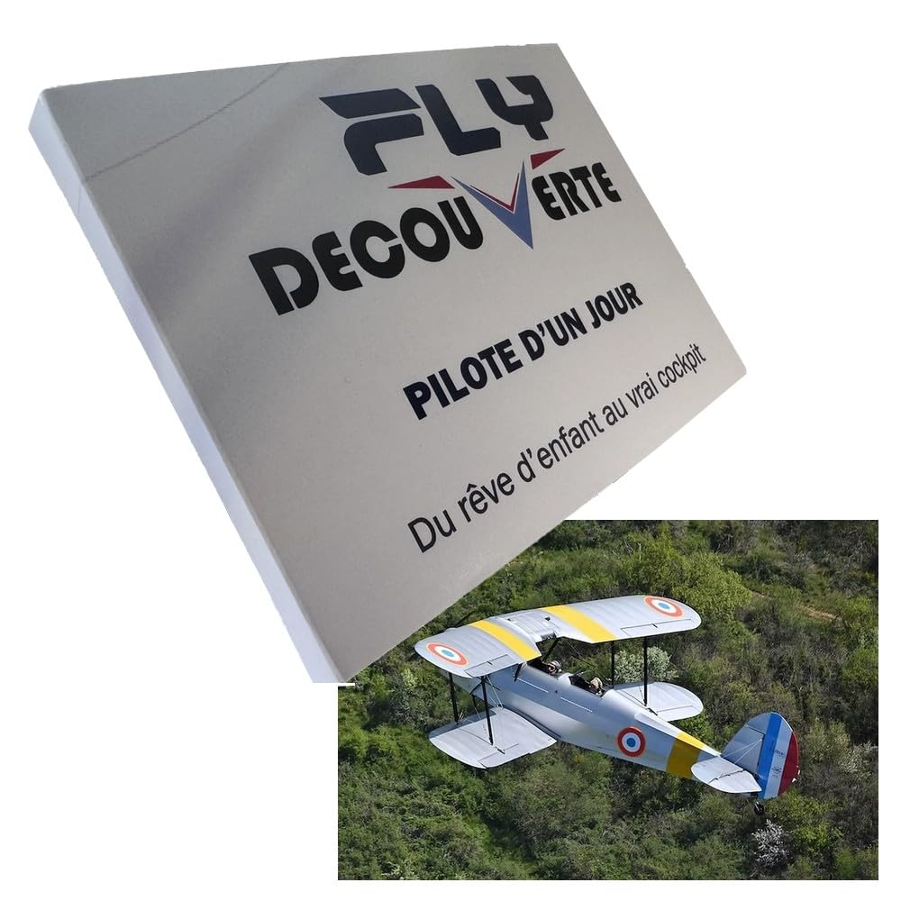 Vol biplan Bourg-Ceyzériat : un baptême de l'air pour s'évader - 8