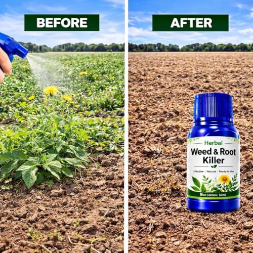 Image of Weed & Root Killer Liquid for Garden & Outdoor Use | Ready-to-Use Natural Weed Control Solution | Fast-Acting Formula for Unwanted Grass Weeds & Roots (Pack of 3)