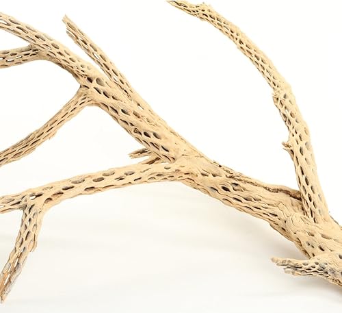 Miniatura 7 de Koyal Wholesale 24 pulgadas de madera cholla acuario leopardo Gecko tanque accesorios sin tratar grande madera flotante para acuario madera ermitaño