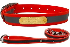 Regal Dog Products Collar Personalizado para Perros y Correa Naranja Mediano