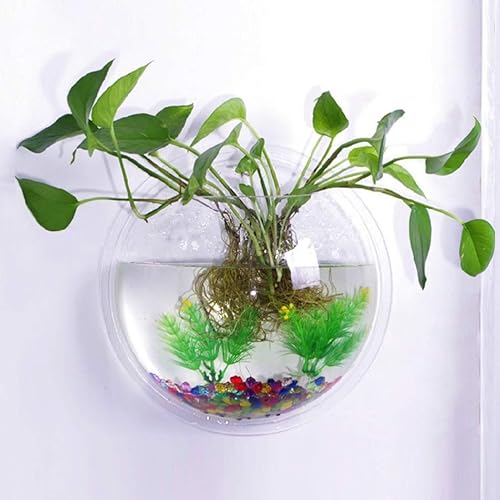 Miniatura 2 de Cuenco de peces de pared, peces de pared, para colgar en la pared, acrílico transparente, betta, acuario, pared, maceta, decoración