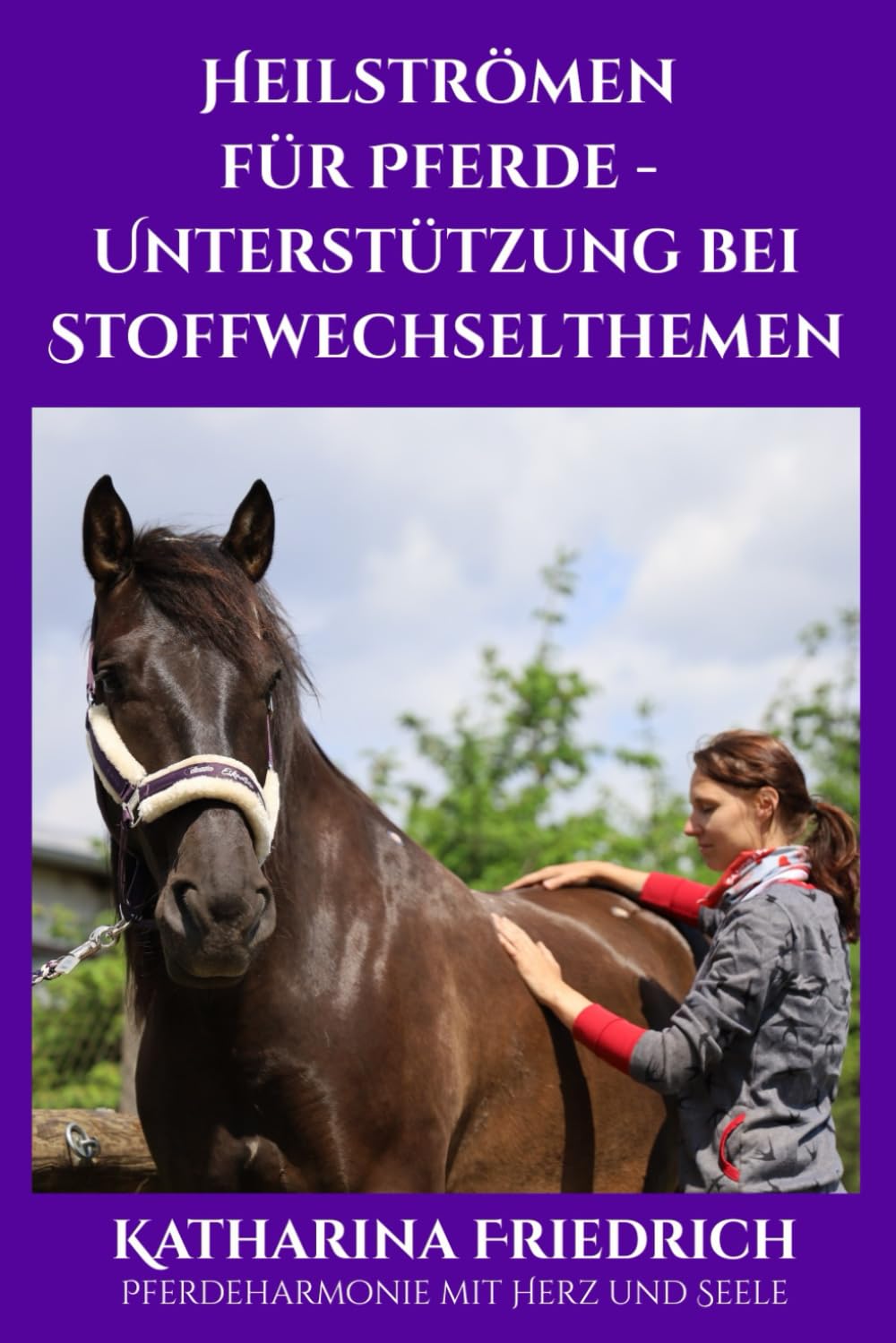 Heilströmen für Pferde - Unterstützung bei Stoffwechselthemen