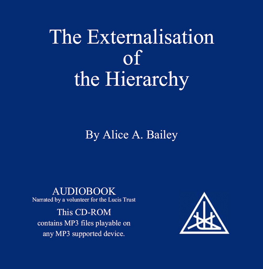 洋書 EXTERNALISATION OF THE HIERARCHY/Bailey Amazon.com: The Externalisation of the Hierarchy