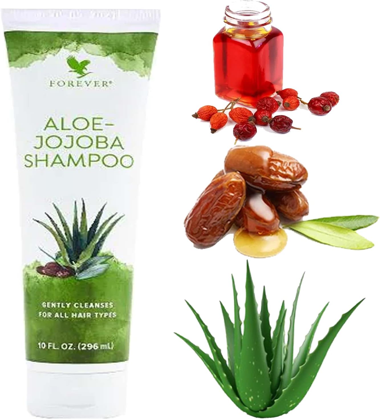 FOREVER LIVING ALOE JOJOBA SHAMPOO 296 ML Amazon.co.uk Beauty