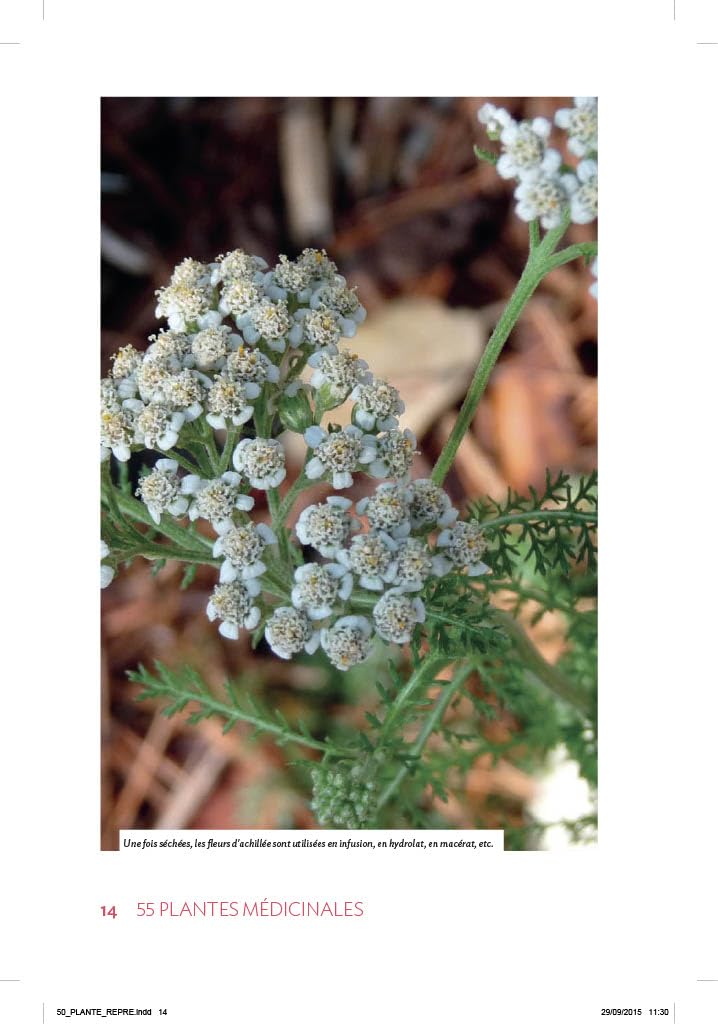 55 plantes médicinales dans mon jardin: Les cultiver, les récolter, les conserver