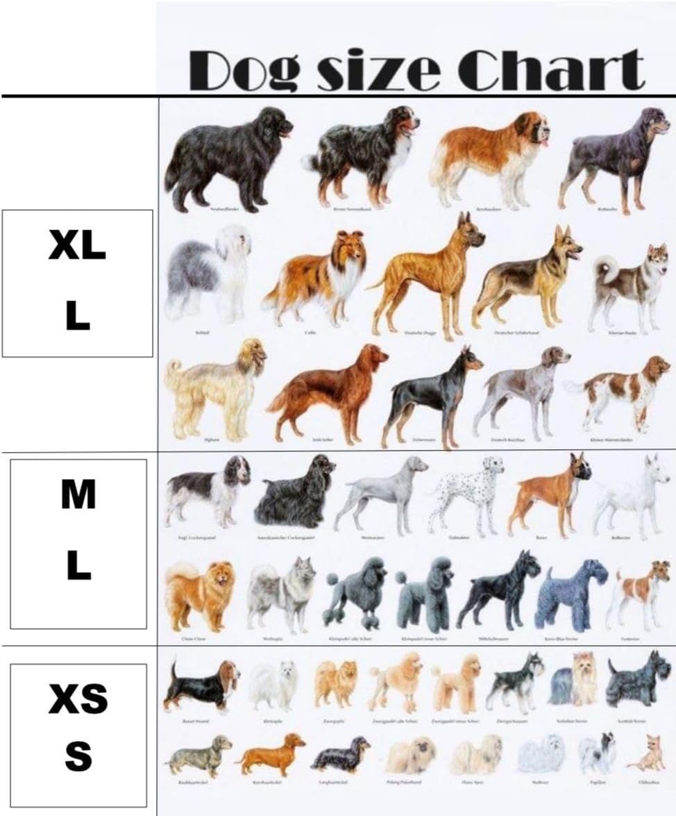 Cream Brown Velvet Dog Set, Luxury Outfit With Cute Collar, Chest Harness, Leash – Tailored for for Small, Medium, and Large Breeds, Complete With A Stylish Bow Tie And Exclusive Dog Poop Bag (XL)