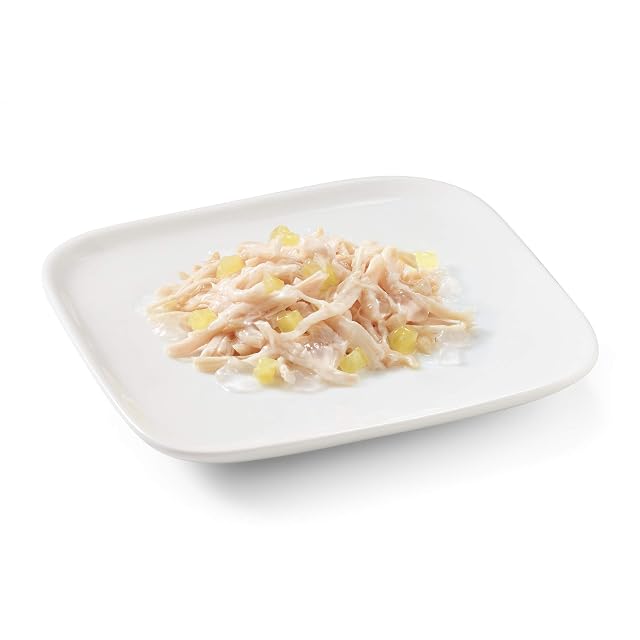 Foto 4 de 4 de Schesir, Alimento Húmedo para Perros Adultos Sabor Filetes De Pollo con Piña Preparado En Gelatina…