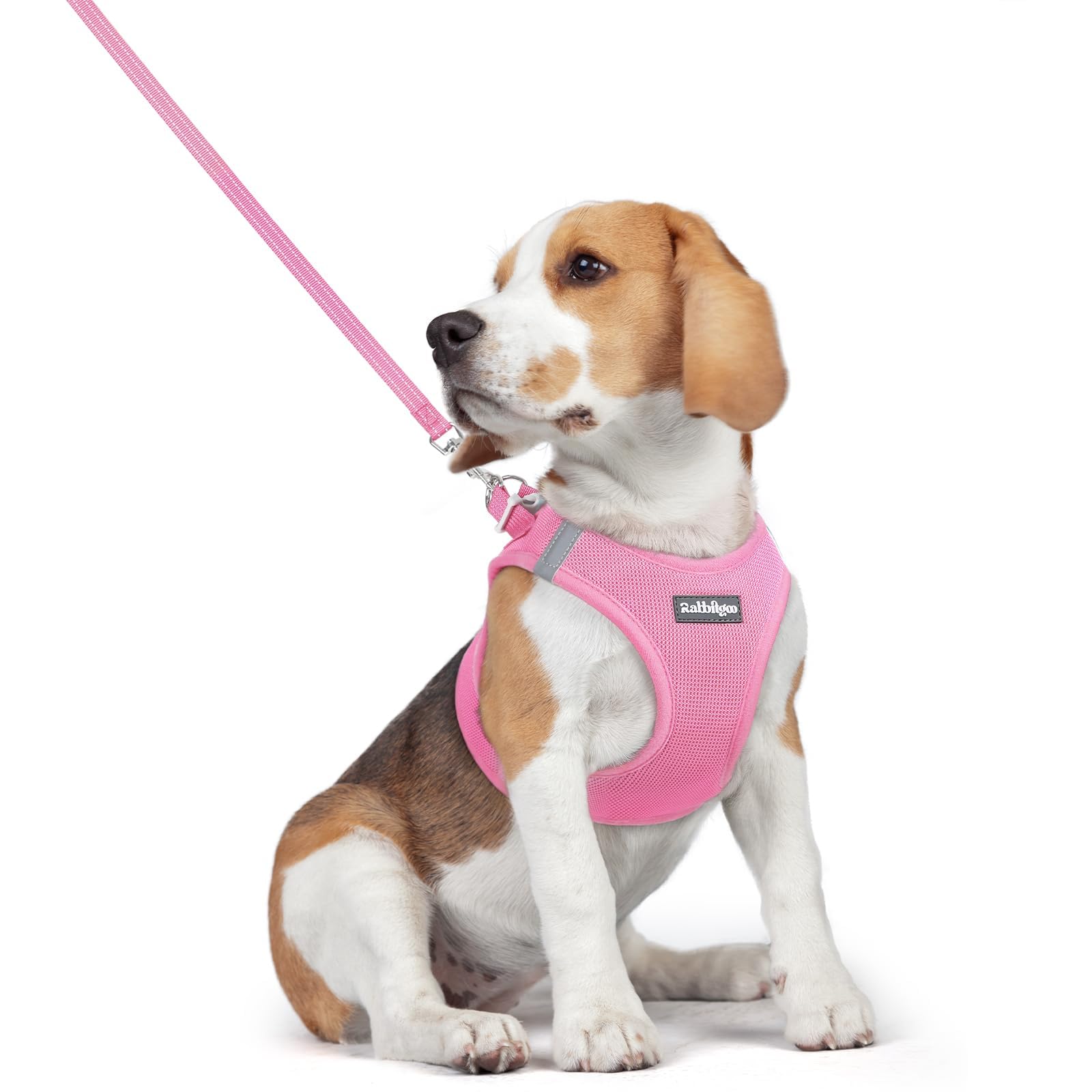 rabbitgoo Dog Harness Small Dog and Leash Set, Step-in Soft Mesh Puppy Harness with Reflective Strips, Lightweight Breathable Pet Vest for Walking Training, Light Pink, L