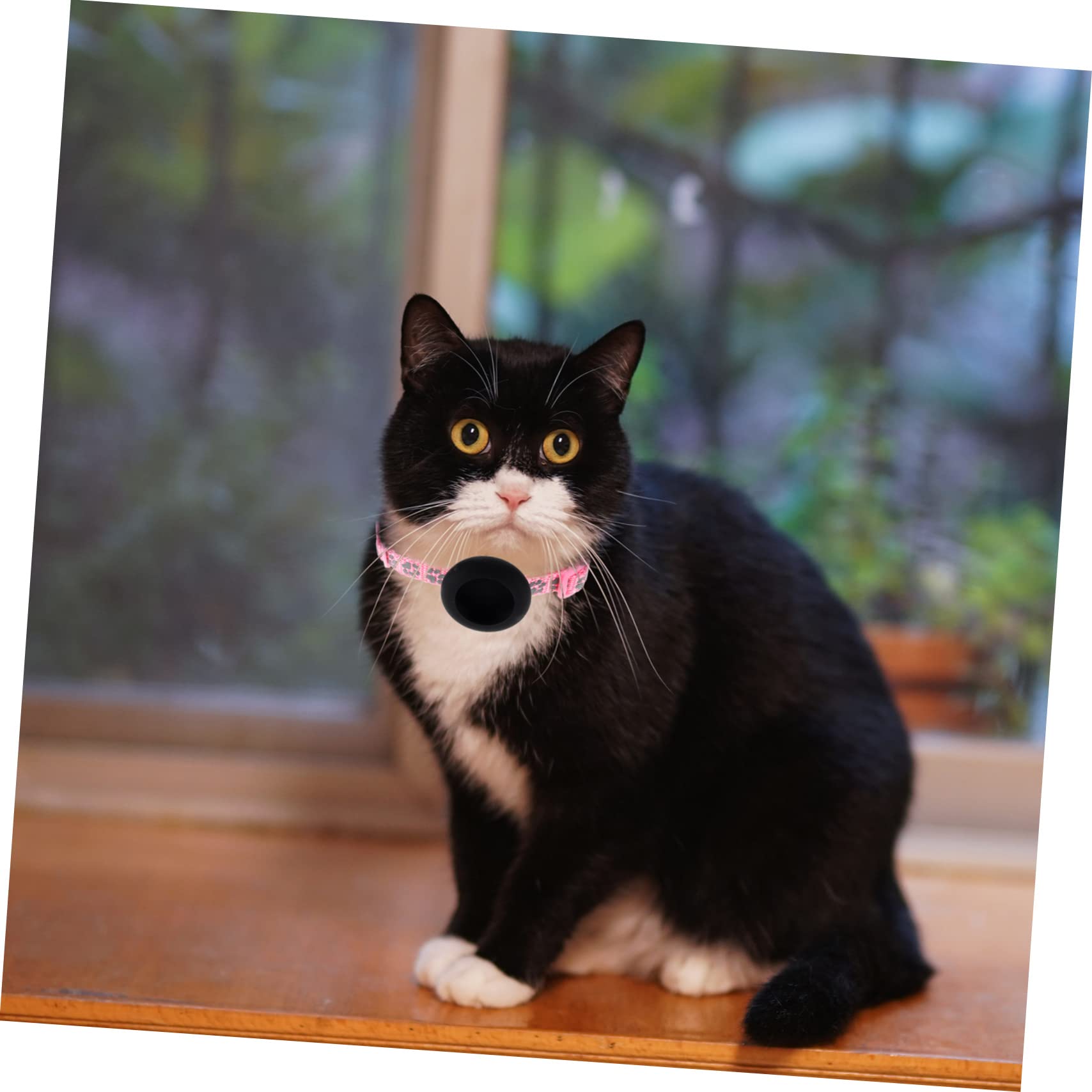 Amazon | iplusmile 猫の首輪 トレーサーのペットの首輪 キット エア