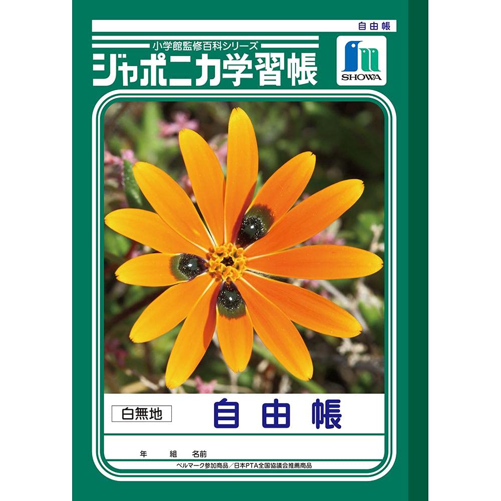 Cahier Japonica JL-71 Showa Notebook B5 uni la papeterie fine japonaise - 2