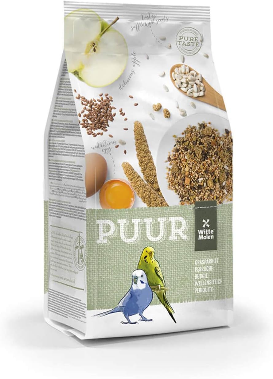 View of How to Make Bird Treats for Budgies: Easy & Healthy Recipes