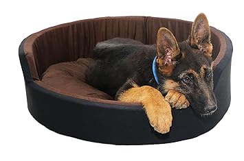 Mellifluous Soft Cotton Fabric Special for Summer Dog Cat Pet Bed-Reversible, Detachable Cushion, Washable (M, Brown-Black)