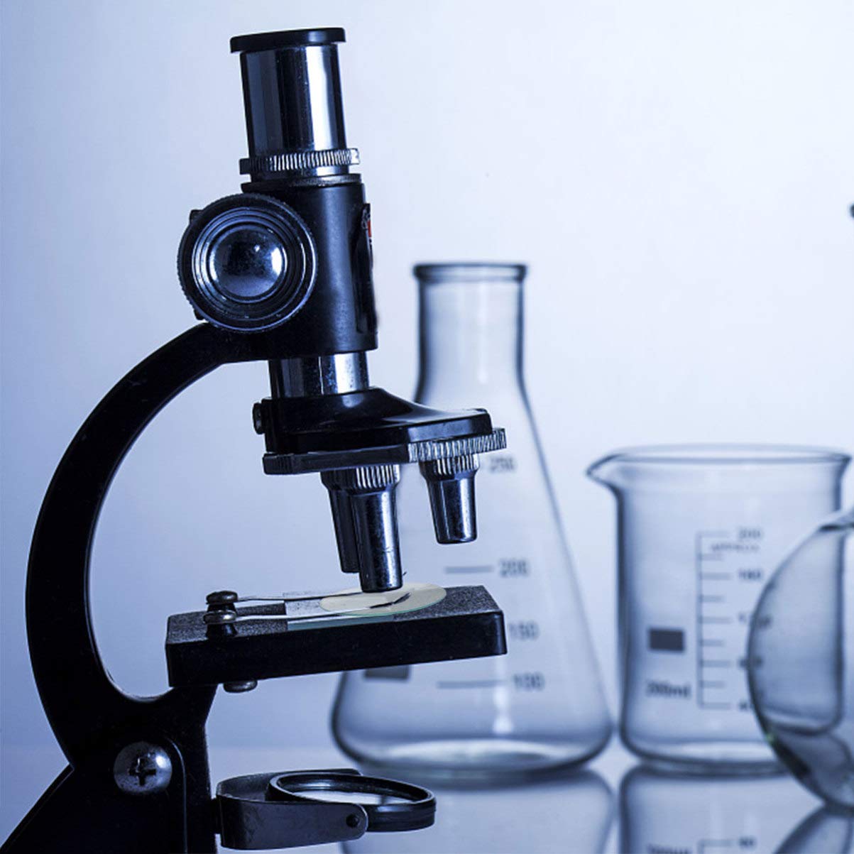 ULTECHNOVO 4 Piezas Reloj Cubierta de Vaso de Vidrio Accesorios de Laboratorio para Laboratorio Escolar Clase de Química Equipo para El Hogar 60 Mm 75 Mm 90 Mm 100 Mm