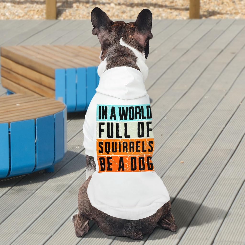 in a World Full of Squirrels Be a Dog Print Dog Hoodie - Gifts for Dogs - Items for Pets - White, 2XL