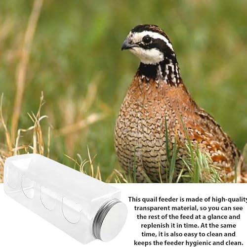 HEAVYSEVEN Transparent Feeder Feed Box Seed Food Container.Quail Feeder, Rutin Chicken Feeder, Quail Feeder Box,Bird Feeder Bowl, Parrot Feeder Tank (C)