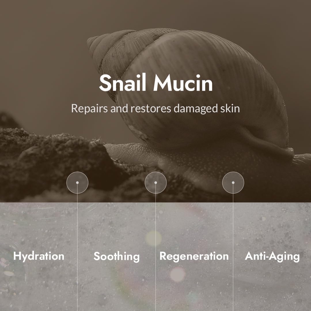 MIZON Snail Repair Intensive Toner Snail Mucin Hyaluronic Acid Adenosine Centella Asiatica Moisturizer Fine Line Treatment Safe Formula Korean Skincare (3.38 fl oz) - Image 3