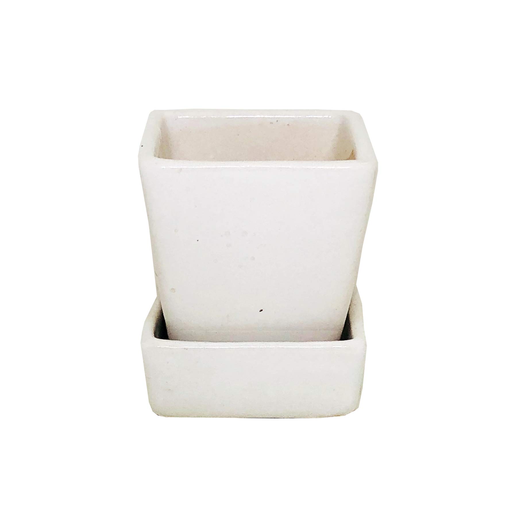 ShopMeFast Ceramic Planter Pot with Detachable Drainage Saucer for Indoor & Outdoor Plants, Home & Garden Decor, Decorative Succulents Pot (White)(L:8 cm, W:8 cm, H:9 cm) (B083G2KFJ6) Amazon Price History, Amazon Price Tracker
