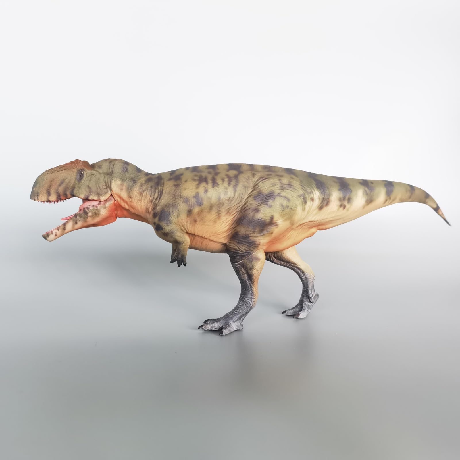 Haolonggood Giganotosaure Échelle 1:35 Modèle animal préhistorique mâchoire mobile