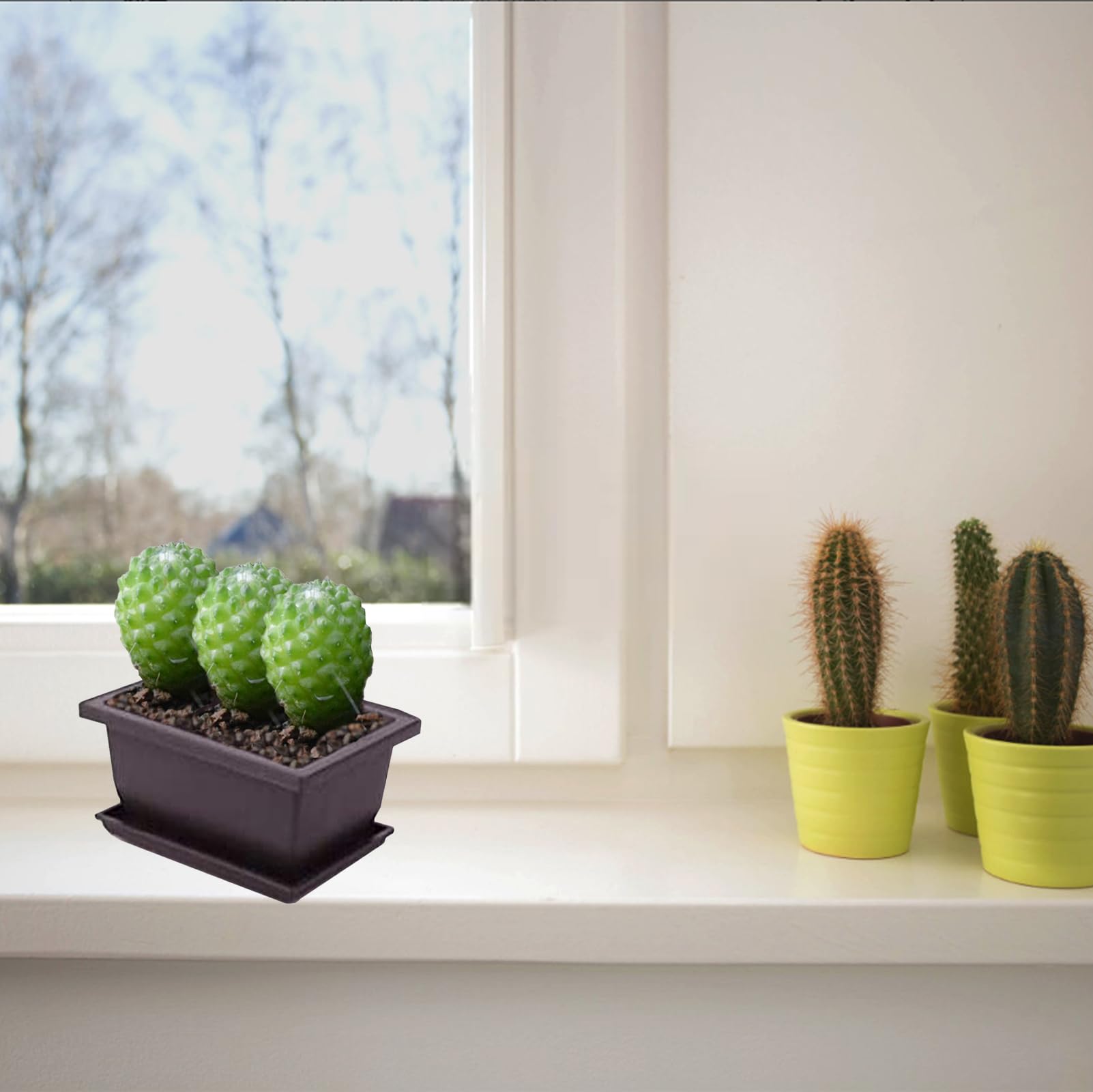 3 Pezzi Vaso per Giardino Con Vassoio in Plastica - Bonsai Piante Contenitori per Fiori, Interni, Decorazione Della Casa