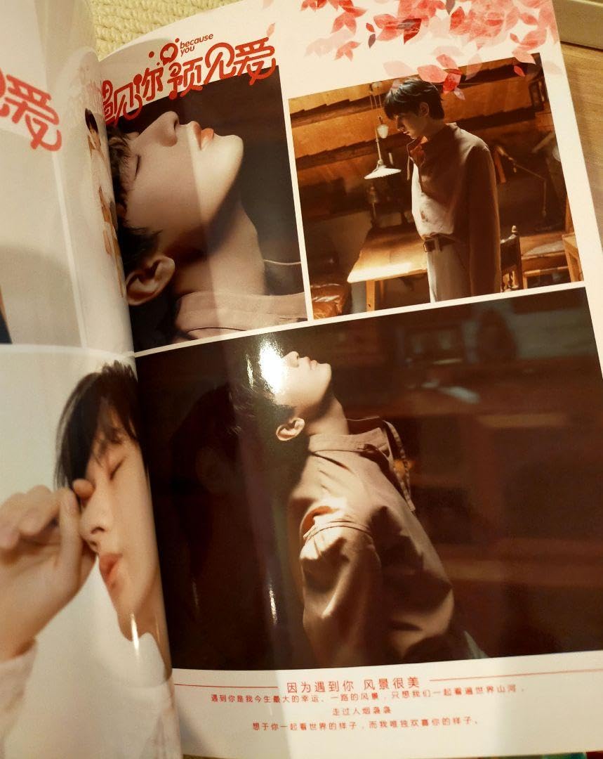 Amazon.co.jp: 成毅 チョンイ33歳 誕生日 写真集 PB : おもちゃ