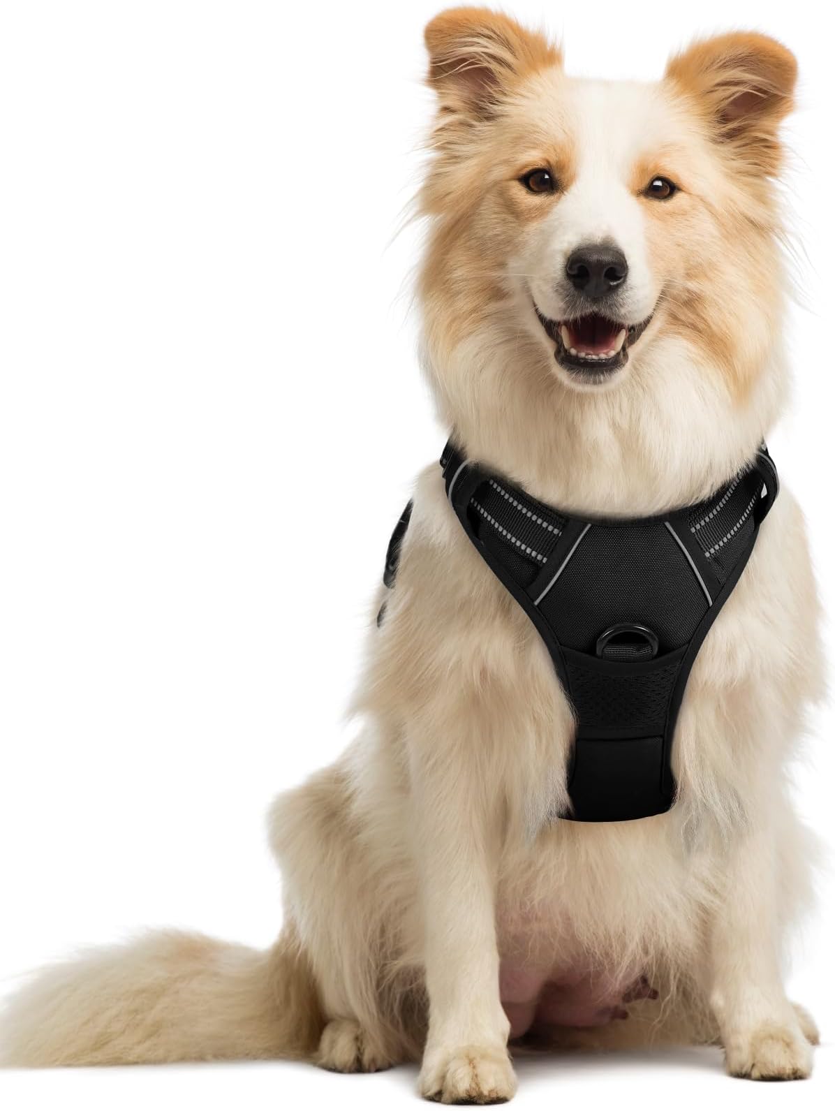 Rabbitgoo Front Range Dog Harness No-Pull Pet Harness Adjustable Outdoor Pet Vest 3M Reflective Oxford Material Vest for Dogs Easy Control for Small Medium Large Dogs (Black, M)