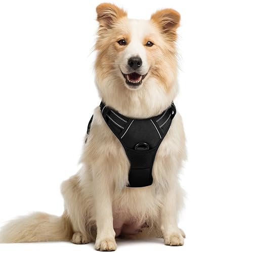 rabbitgoo Dog Harness No Pull with 2 Leash Clips, Adjustable