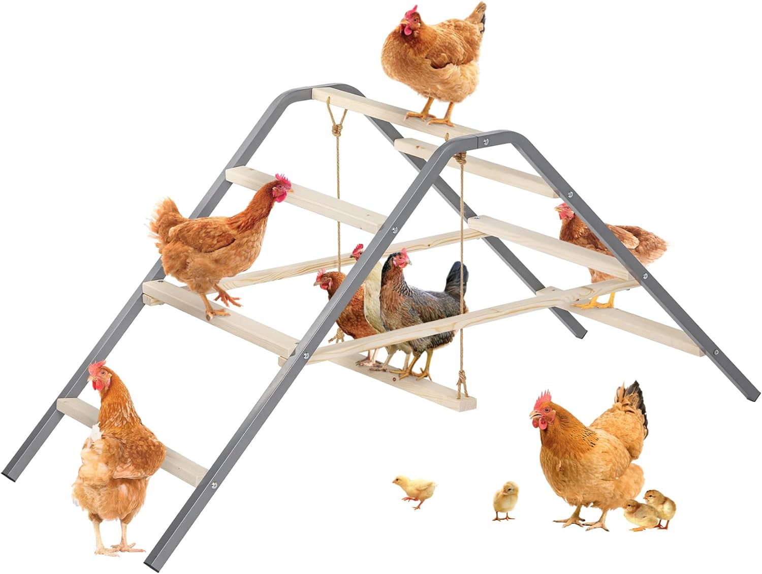 PETSFIT Chicken Roosting Bar with Swing - Solid Wood & Rustproof Iron Perch for 10-14 Chickens, Easy Assembly for Backyard Coops