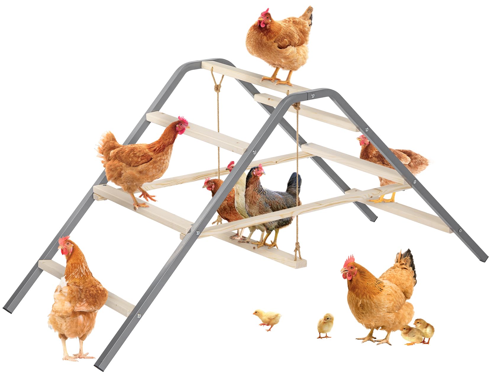 PETSFIT Chicken Roosting Bar with Swing
