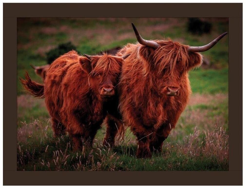 Highland Cow Faux Leather Lap Tray, Rural Roots, Cattle, Animals FLTF2604