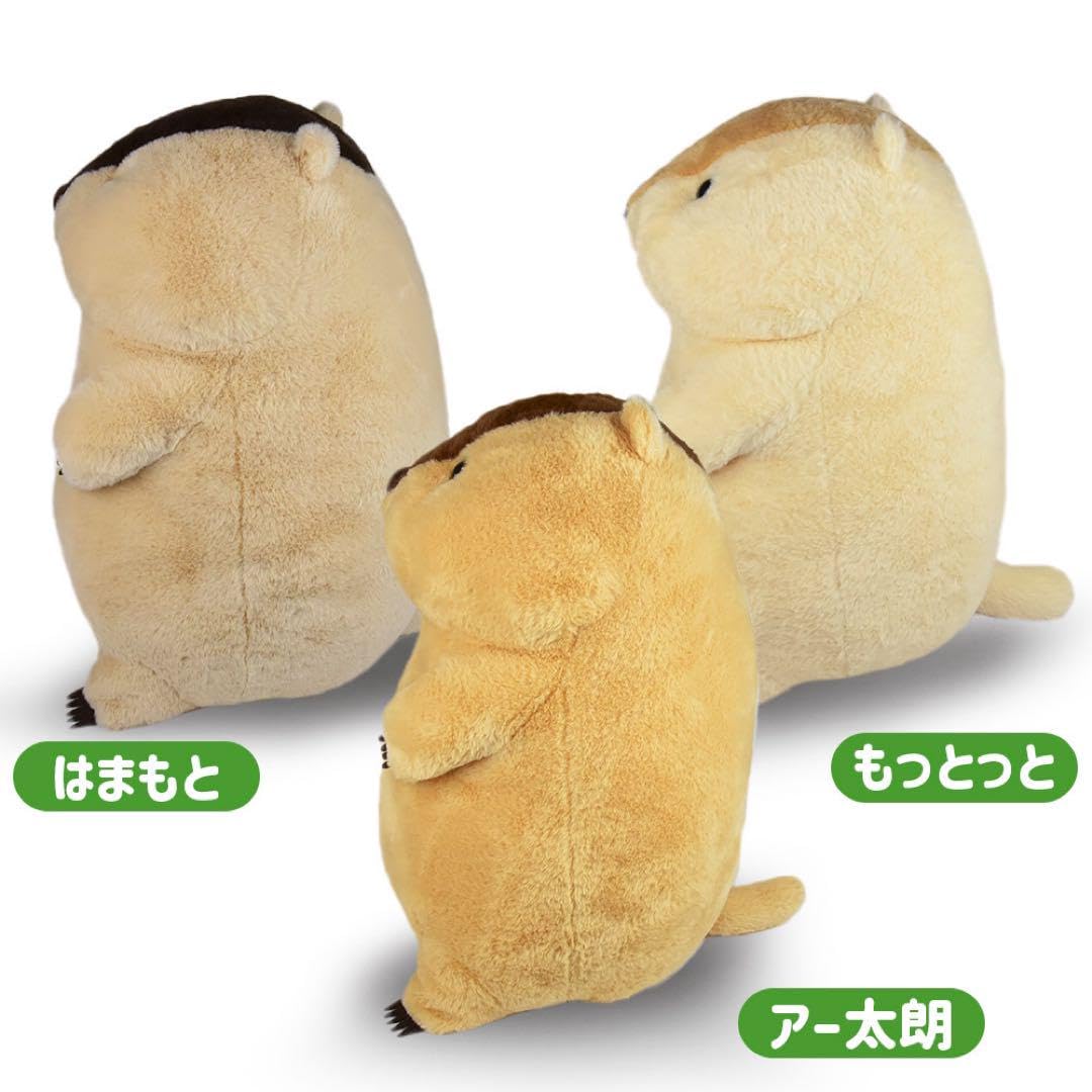 Amazon.co.jp: マーモット もっとっと ウルトラBIG ぬいぐるみ