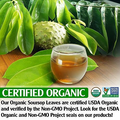 Image of KEYXE - USDA Organic Soursop Graviola Leaves Tea 50 Bags. Non-GMO Verified , 100% Organic Soursop Leaves for Digestion, Boosting Immune, Improving Sleep & Skin Health, Gluten Free, Caffein Free , Hojas De Guanabana Tea Organica, Eco-Conscious Tea Bags